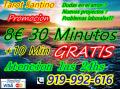 Venta Otros Servicios: Tarot ,gratis 10min+30min en total 40min por 8 euros