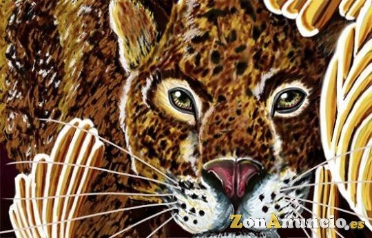 Ilustrador, diseñador, concept art freelance