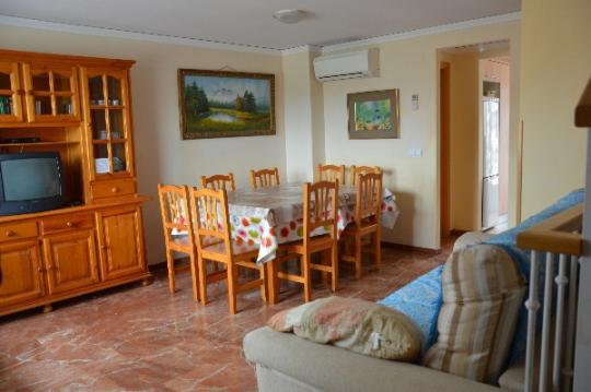 Especial  temporada en playa de Gandía