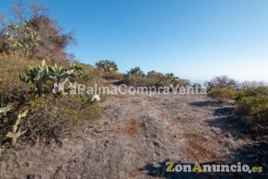 ID-419 Terreno con acceso rodado