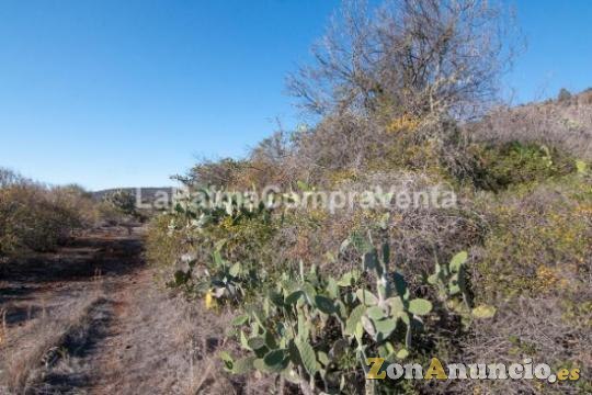 ID-419 Terreno con acceso rodado