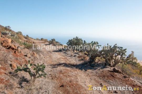 ID-419 Terreno con acceso rodado