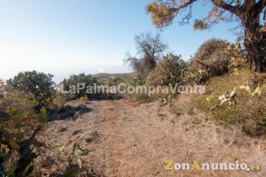 ID-419 Terreno con acceso rodado