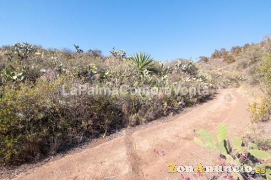 ID-419 Terreno con acceso rodado