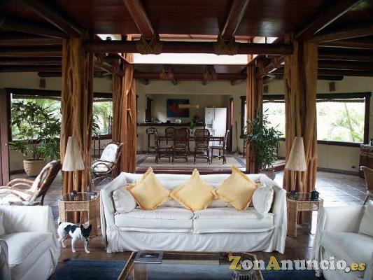 Tejados en Junco (Tropical Roof)