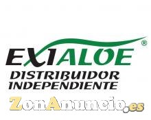 DISTRIBUIDORA INDEPENDIENTE DE EXIALOE