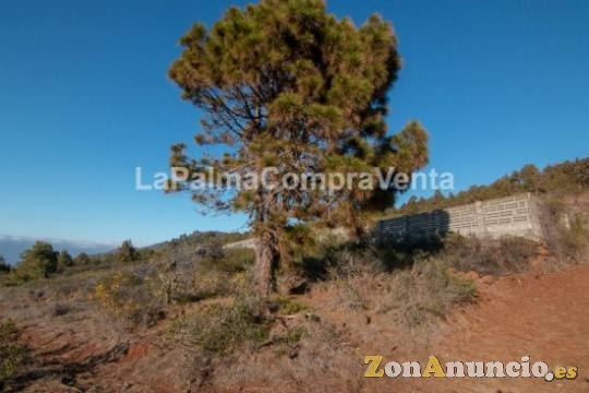 ID-420  Una buena extensión de terreno en Puntagorda