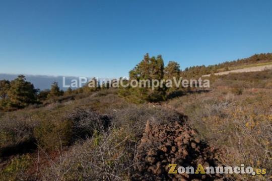 ID-420  Una buena extensión de terreno en Puntagorda