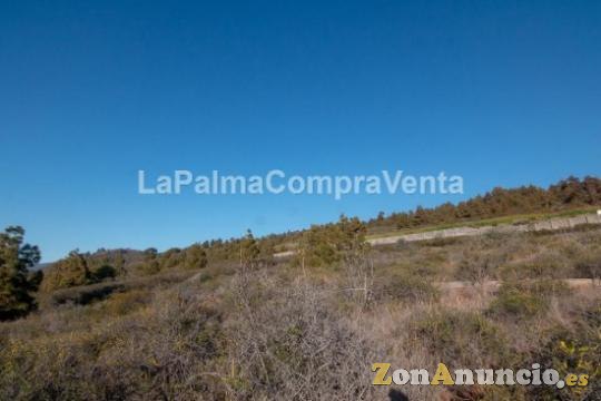 ID-420  Una buena extensión de terreno en Puntagorda