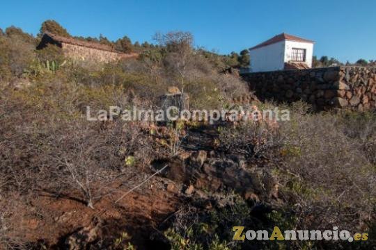 ID-420  Una buena extensión de terreno en Puntagorda