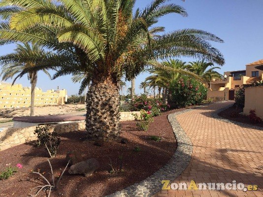 APARTAMENTO LUJOSO EN COSTA CALMA