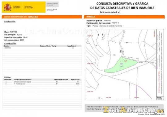 ID-444 Terreno en producción de aguacates con 100 matas