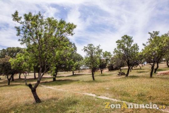 FINCA LOS ALMENDROS. NAVALAGAMELLA
