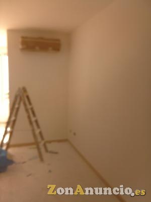 pintor economico y alisador de paredes