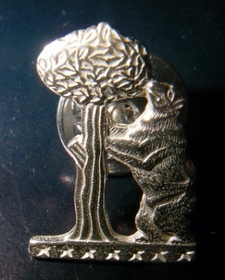 insigneas-pins deportivos personalizados