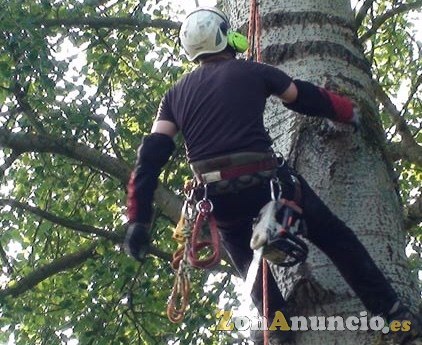 desbrozamos ,fincas,terrenos,parcelas,663-777-576