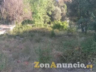 desbrozamos ,fincas,terrenos,parcelas,663-777-576