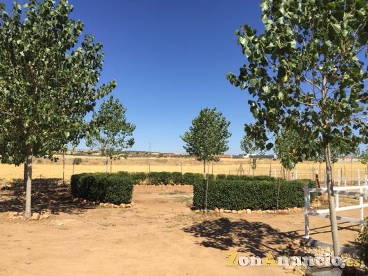 ALQUILER DE INSTALACIONES