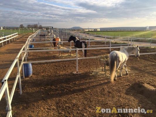 ALQUILER DE INSTALACIONES