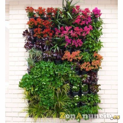 muro verde para jardin