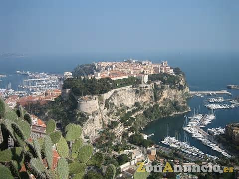 PROFESOR NATIVO FRANCÉS OFRECE  CLASES DE FRANCÉS