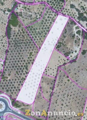 Se vende finca rustica en San Martín de Valdeiglesias