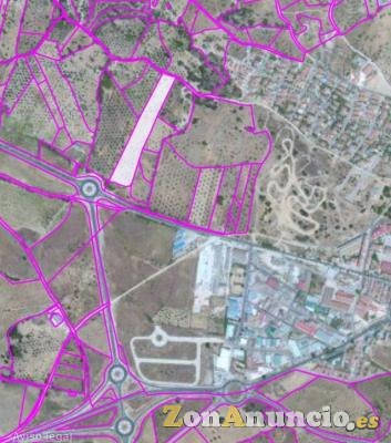 Se vende finca rustica en San Martín de Valdeiglesias