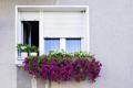 Venta Otros Servicios: Reparación de ventanas