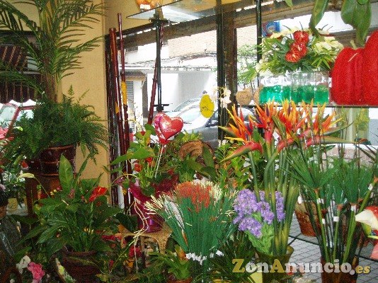 FLORISTERIA