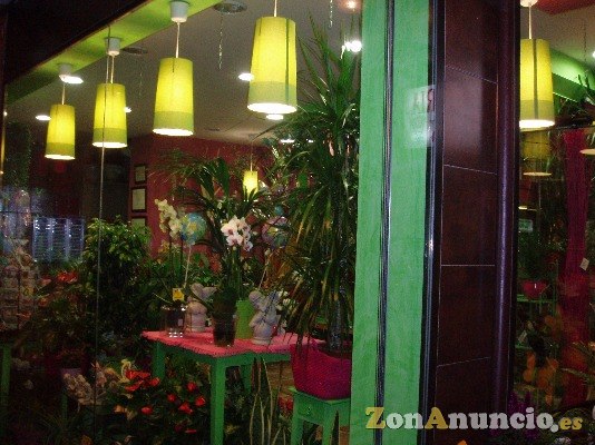 FLORISTERIA