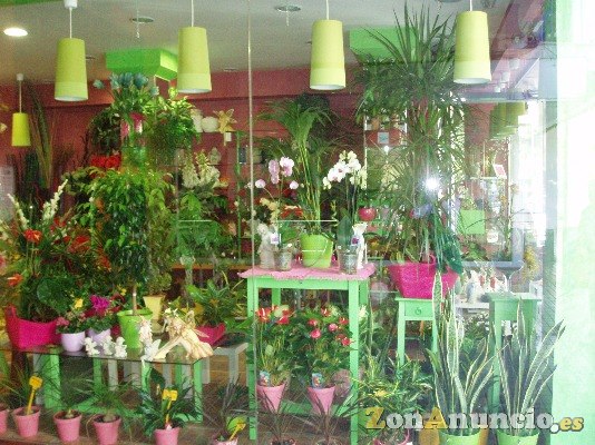 FLORISTERIA