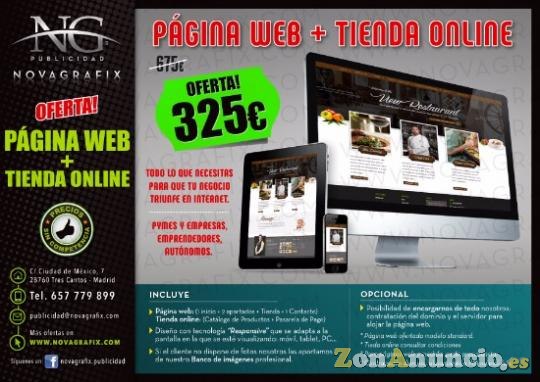 Diseño pagina web + Tienda online
