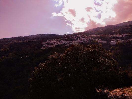 FINCA DE 3 HECTAREAS CON PERMISO CONSTRUCCIÓN DE 50m.