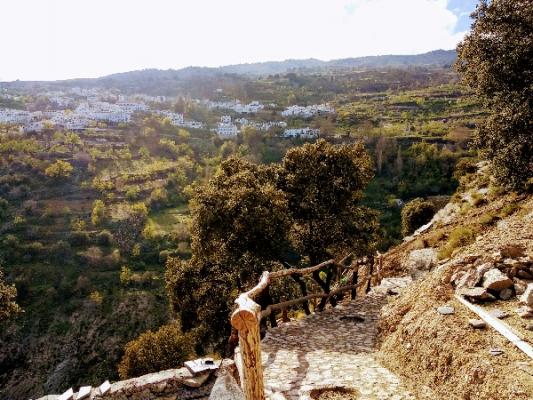 FINCA DE 3 HECTAREAS CON PERMISO CONSTRUCCIÓN DE 50m.