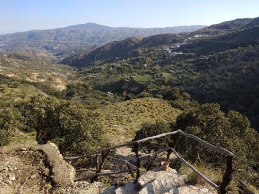 FINCA DE 3 HECTAREAS CON PERMISO CONSTRUCCIÓN DE 50m.