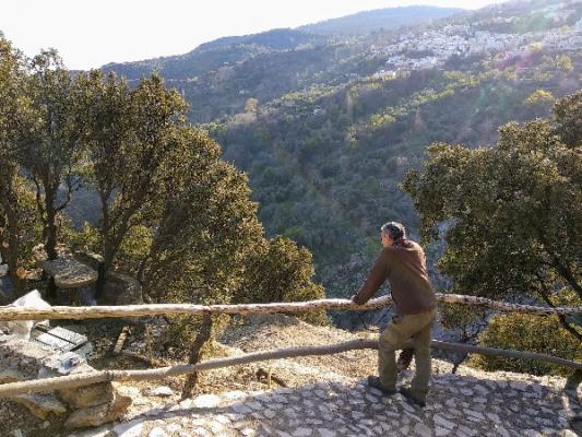 FINCA DE 3 HECTAREAS CON PERMISO CONSTRUCCIÓN DE 50m.