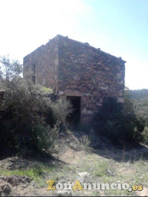 Finca Olivarera