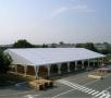 Venta de Animales y mascotas: CARPAS DE 20X40 / 25X50