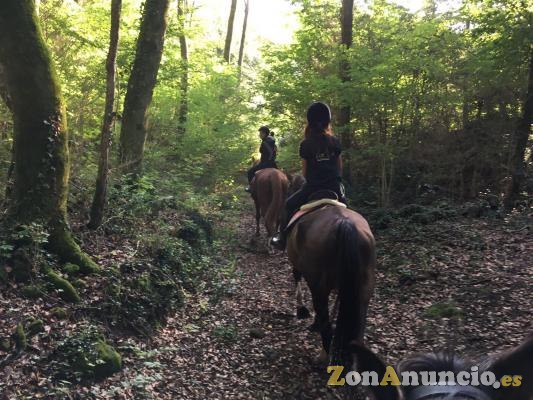 Rutas a caballo
