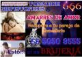 Venta Otros Servicios: AMARRES DE AMOR GRATIS MAGIA BLANCA!