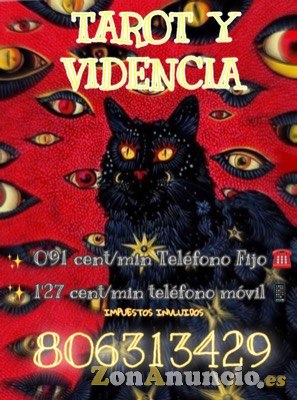 Tarotistas y videntes profesionales