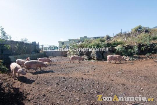 ID-328   Terreno con vistas al mar ideal para villas