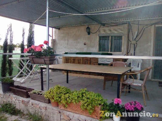 Finca Rústica en Aspe - Alicante