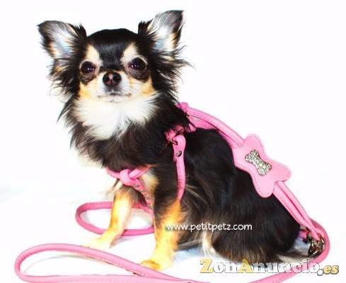 Ropa para chihuahuas yorkshire toys cachorros