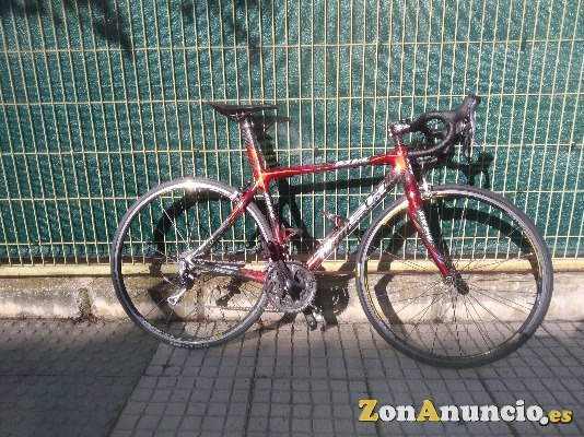 BH GLOBAL CONCEPT CARBONO -7.5 kg