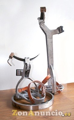 BICICLETA PALMERAS + FLEJES - 1099€