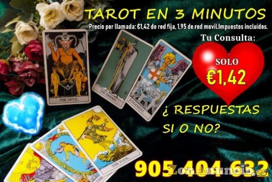 Videntes profesionales y naturales/30 min 6 euros