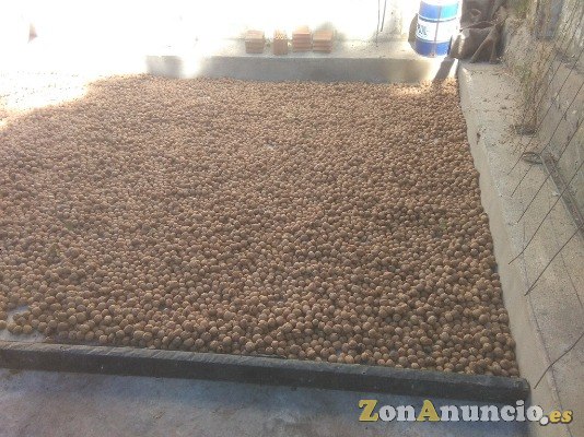 Parcelas de nogales. Socios