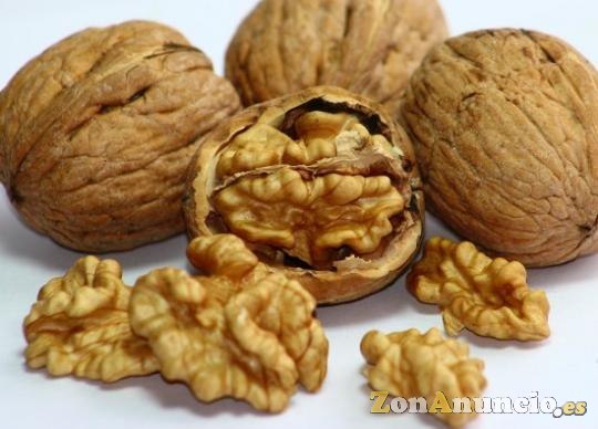 Parcelas de nogales. Socios