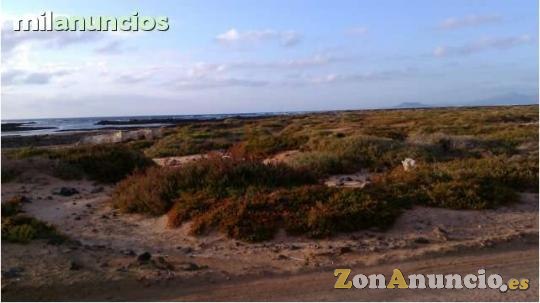 Parcelas rústicas en corralejo